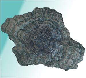 türkis AUSTER -Bowl  groß  46 x 34,5 x 9,5 cm Auster cobalt.jpg